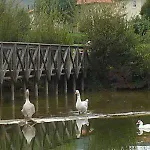 Quinta Mineirinhas