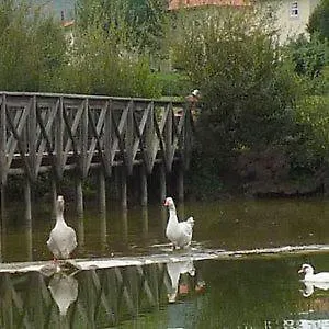 Quinta Mineirinhas