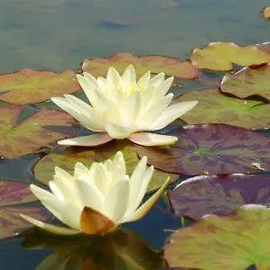 アパート Quinta Mineirinhas