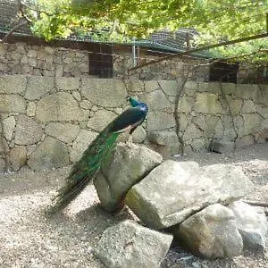 公寓 米尼里亚斯农家乐 维拉·诺瓦·达·塞尔维尔