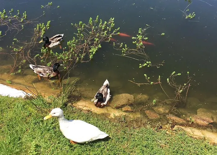 米尼里亚斯农家乐 维拉·诺瓦·达·塞尔维尔